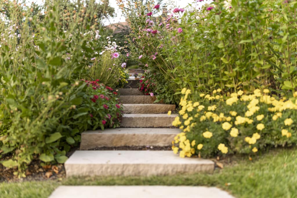 Gilmer Farms - stairs with softscaping