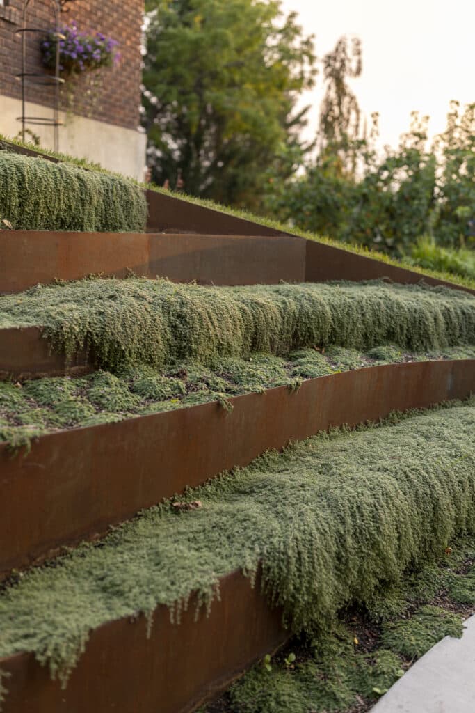 Gilmer Farms - more steps in landscaping with draping plants