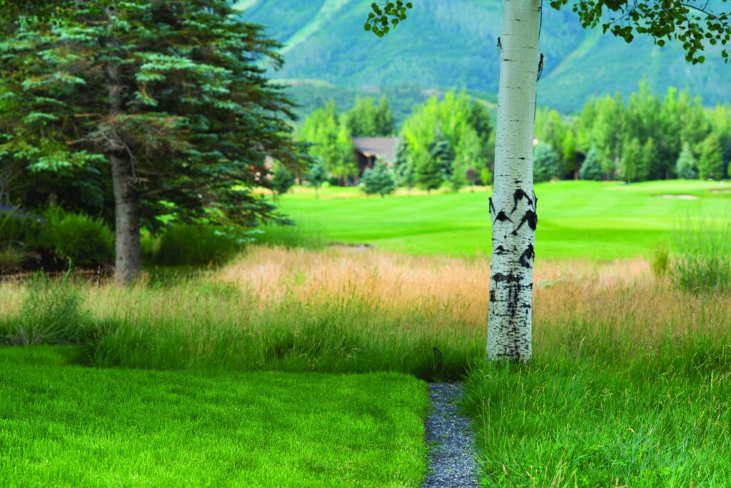 Sunny Slopes - natural landscaping