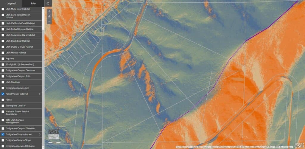 Emigration - topographical aspect